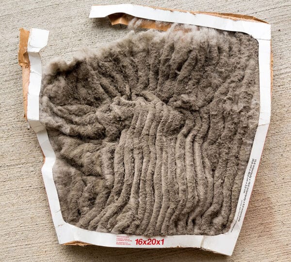 A dirty air filter on Cape Cod