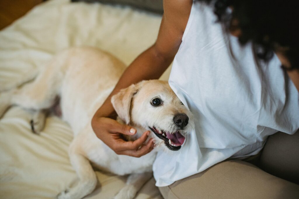 A Cape Cod homeowner and her dog, the dog may shed and contribute to a dirty air filter.